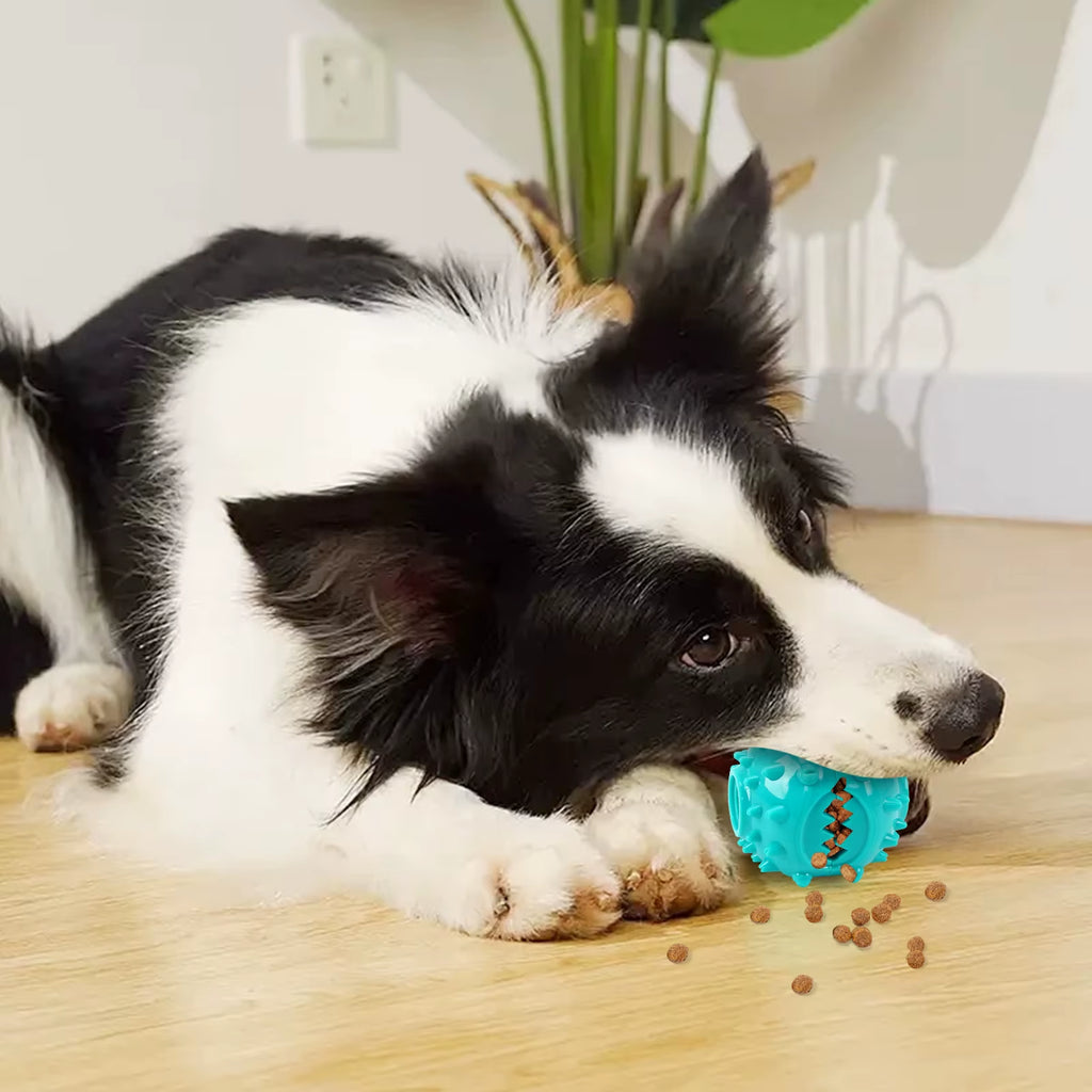 Dog Grinding Teeth Toys Chew Toys Cleaning Teeth anti Bite Interactive Training Leaking Food Balls Toys Slow Food Pet Products