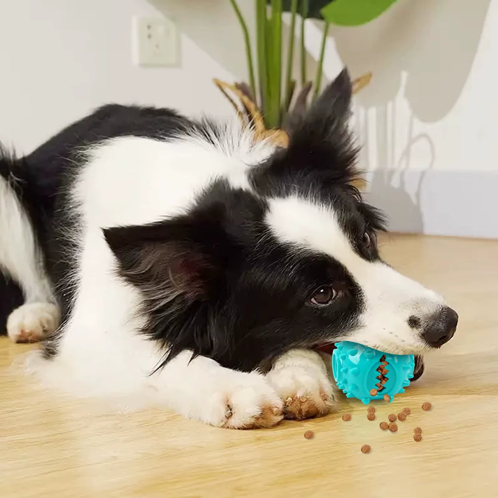 Dog Grinding Teeth Toys Chew Toys Cleaning Teeth anti Bite Interactive Training Leaking Food Balls Toys Slow Food Pet Products